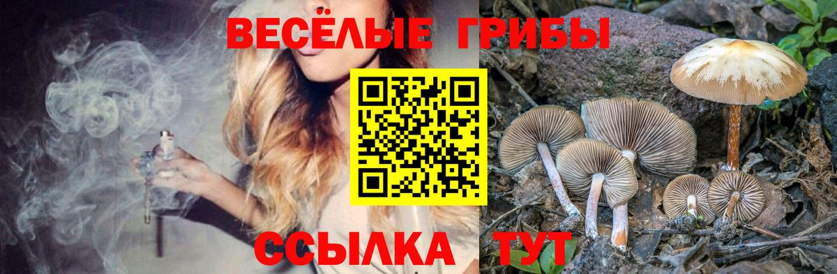 Псилоцибиновые грибы ЛСД  Вход с VPN  Гатчина 